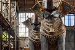 Olifant 1