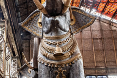 Olifant 3